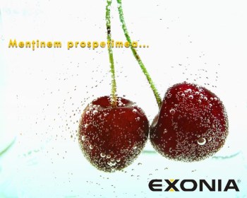 Exonia Holding mentine prospetimea alimentelor