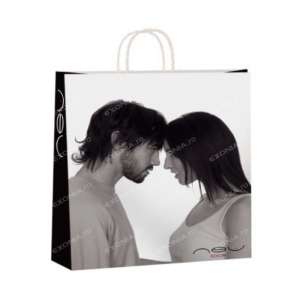 Sacose Hartie Kraft Exonia Nr10