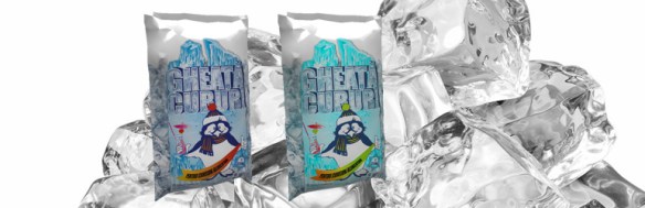 Pungi pentru gheata de la Fabrica De Ambalaje Exonia