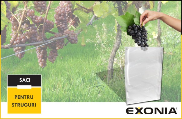 Saci LDPE polietilena pentru recoltat struguri la super pret